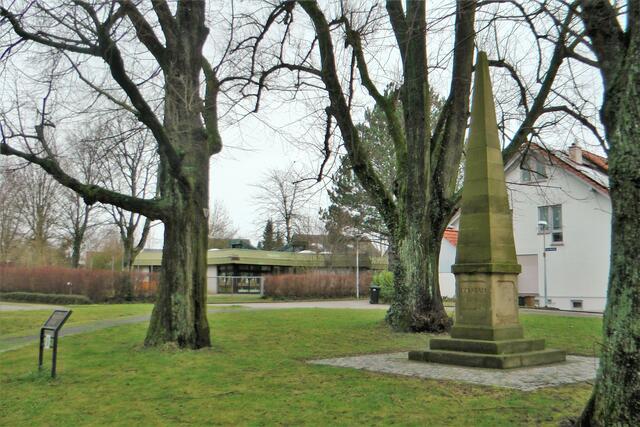 Linden beim Obelisk in Schwaigern