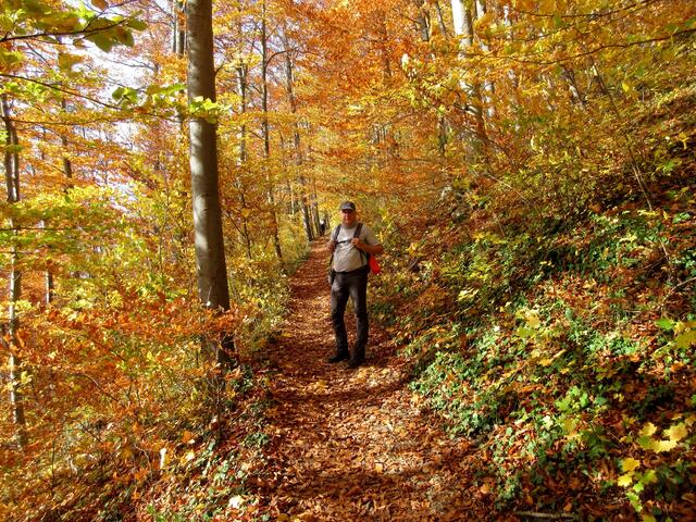 Goldener Oktober am Teckberg