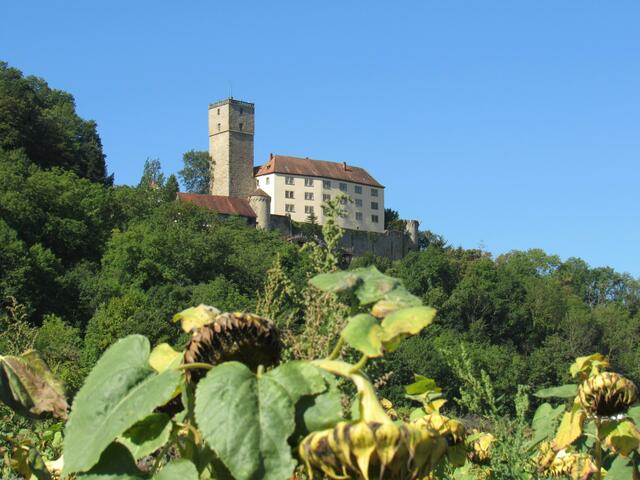 Welch wunderschöner Anblick von Burg Guttenberg in Haßmersheim. Gerd Rampmeier hat ihn eingefangen. | Foto: Gerd Rampmeier