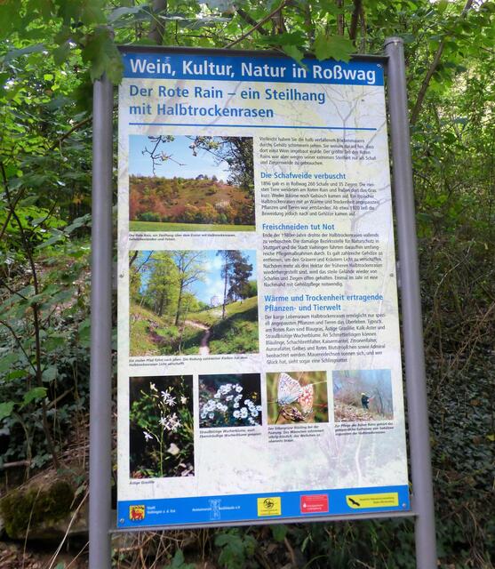 Direkt nach der Brücke, ein paar Meter nach rechts, findet sich diese Infotafel zum "Roten Rain". Hier beginnt auch der Ziegenpfad.