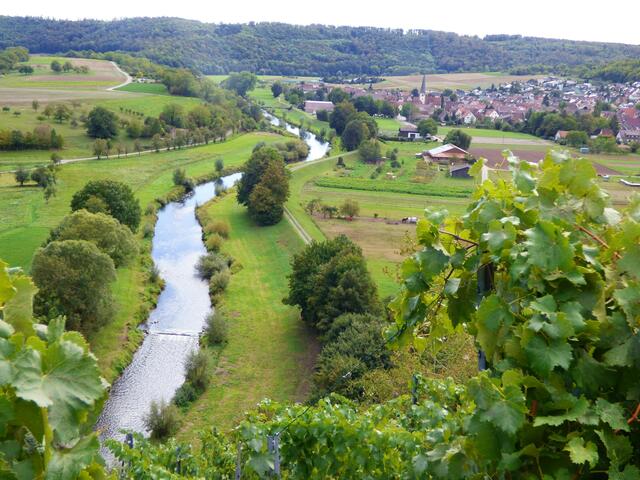 Blick auf die Enz und Mühlhausen.