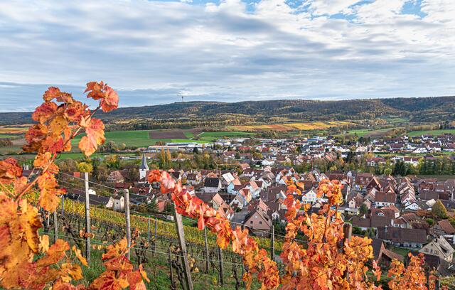 Herbst in Pfaffenhofen (2)
