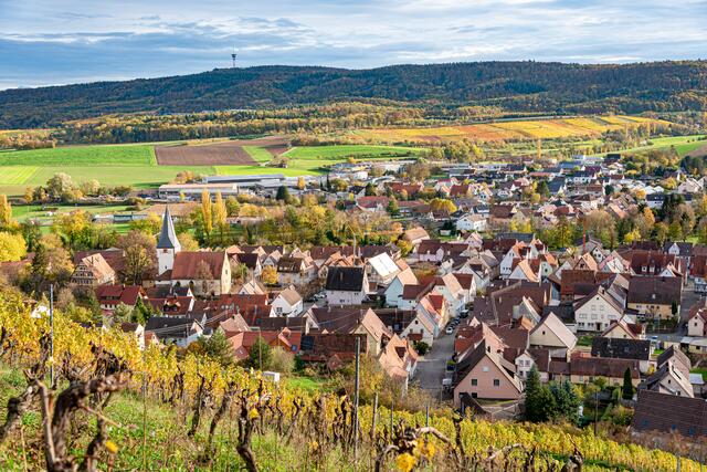 Herbst in Pfaffenhofen (1)