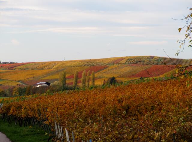Wie schon oft gesagt, ich kann mich an diesen Farben einfach nicht satt sehen.