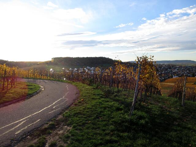 Blick gegen die Abendsonne hinüber zum Haigern