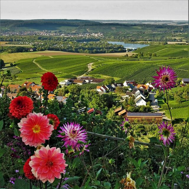 Von Heimatreporter Fritz Renner kommt dieser sensationelle Blick von Löwenstein aus auf das Sulmtal samt Breitenauer See. | Foto: Fritz Renner