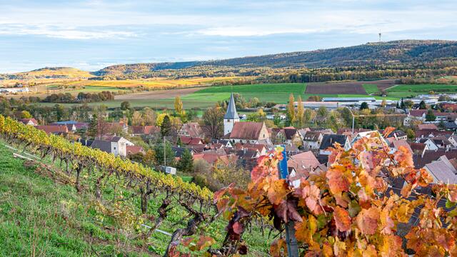 Pfaffenhofen - Blick in Richtung Michaelsberg