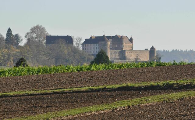 Burg Stettenfels | Foto: Daniela Somers