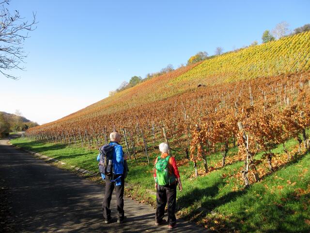Weinberge über Weiler