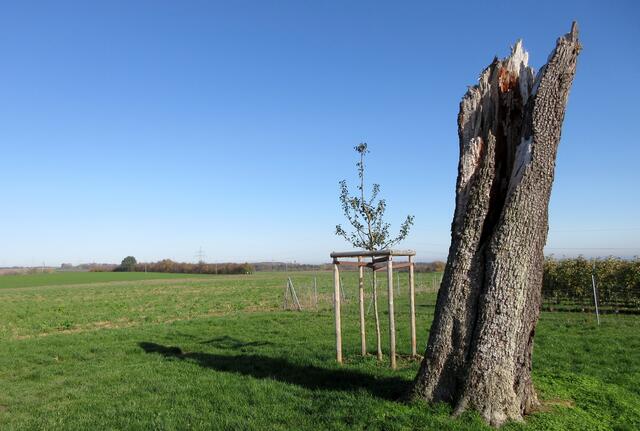 Ganz hinten, am Horizont, ist das Schloss Stocksberg zu erahnen.