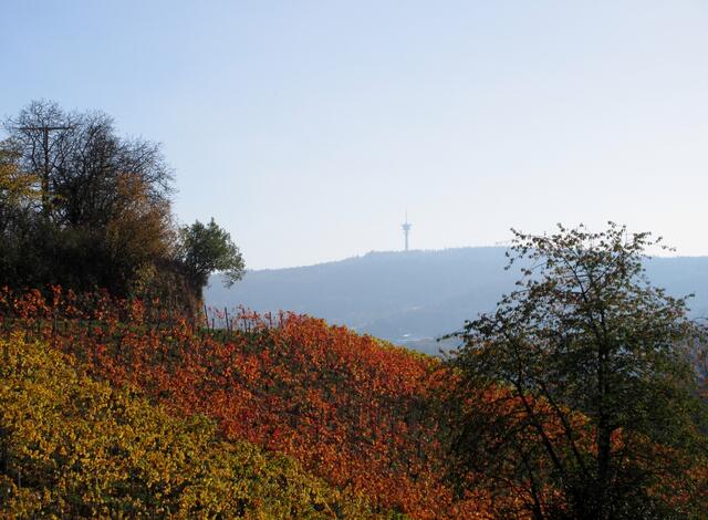 Wer ihn nicht erkannt hat, hier nochmal herangeholt