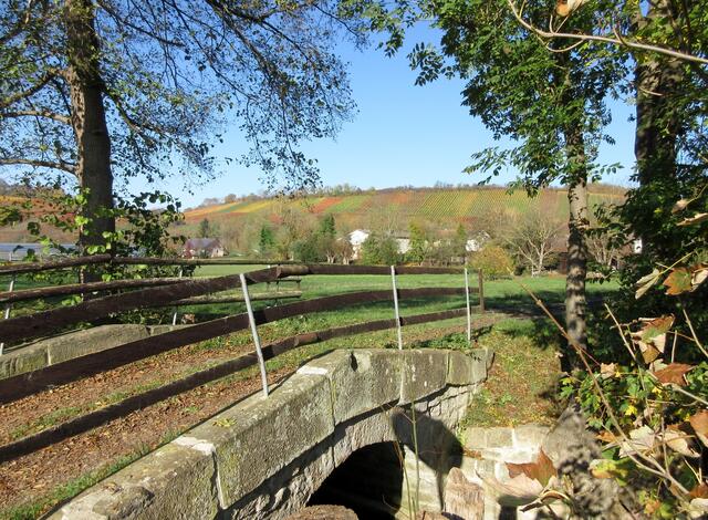 Viele Brücken führen über die Zaber, doch das ist die schönste an der Strecke