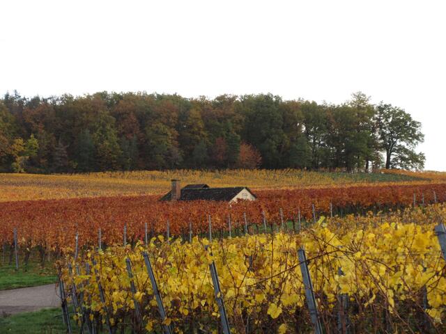 Herbst am Haigern