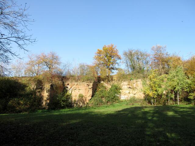 ND Schilfsandsteinbruch "Hinter der Steinbruchgrube"