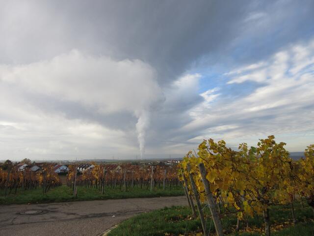 Blick nach Neckarwestheim