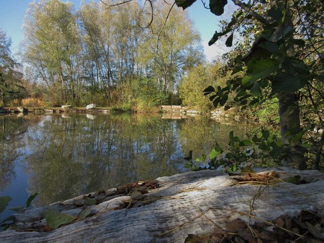 Gleich am Beginn des Oberen Tals dieser kleine idyllische Teich.