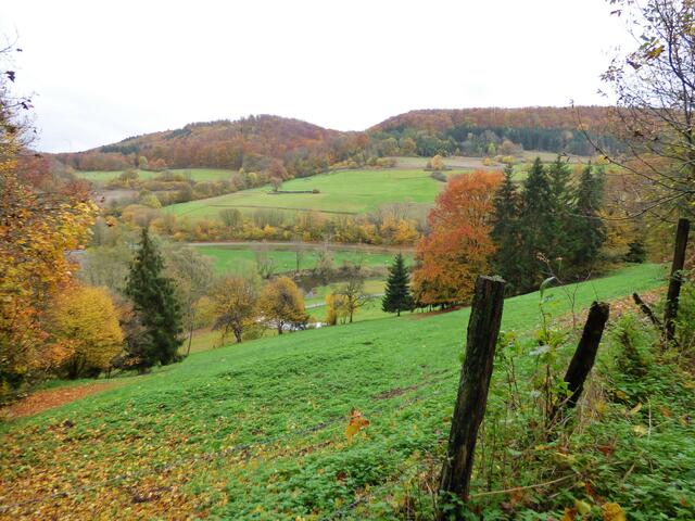 Schöne Ausblicke auf die hügelige Hohenloher Landschaft. Die herbstlichen Farben sind heute sehr gedämpft.