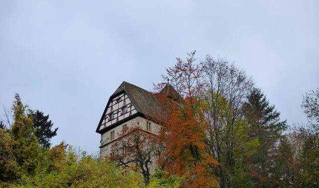 Schloss Buchenbach thront über dem gleichnamigen Örtchen.