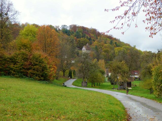 Schon grüßt uns wieder Schloss Buchenbach vom Hügel herab.