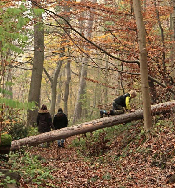 Im Zauberwald über dem Brettachtal findet es Andreas Tschürtz immer wieder schön. | Foto: Andreas Tschürtz