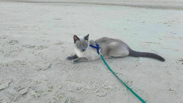 ... und ist ganz relaxed