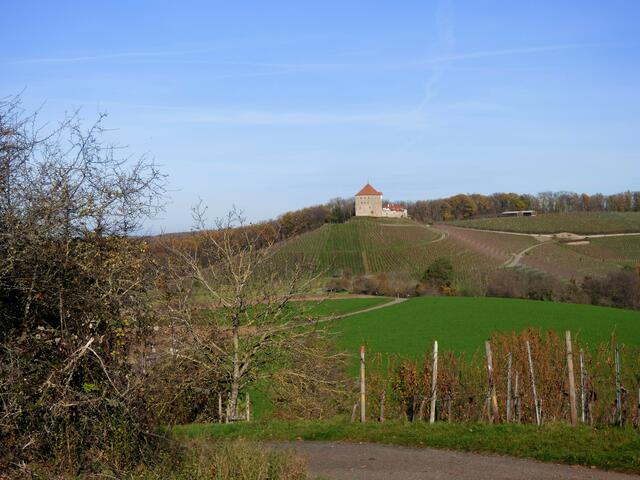 Schon von der Burgruine Helfenberg ist auf dem gegenüberliegenden Hügel Burg Wildeck zu sehen.