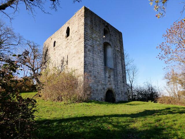 Die Burgruine Helfenberg.