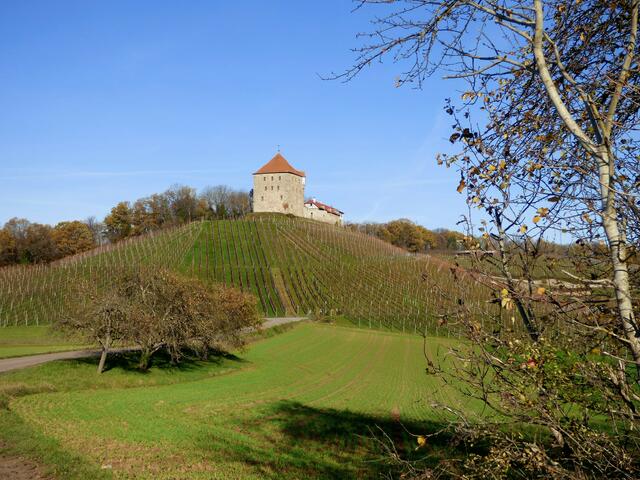 Hoch über den Weinbergen thront die Burg und hat damit einen aussichtsreichen Platz gefunden.