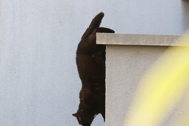 ... nicht dass der Kerl meint ... / ... not that the guy thinks ...