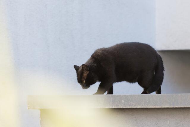 ich tu mal ganz gelangweilt ... / I pretend to be bored ...