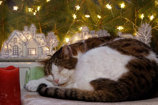 Gemütlicher Advent