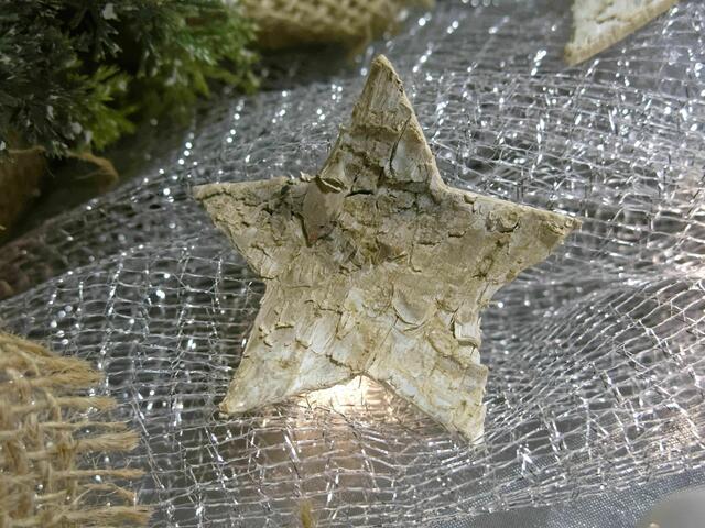Sternenlicht