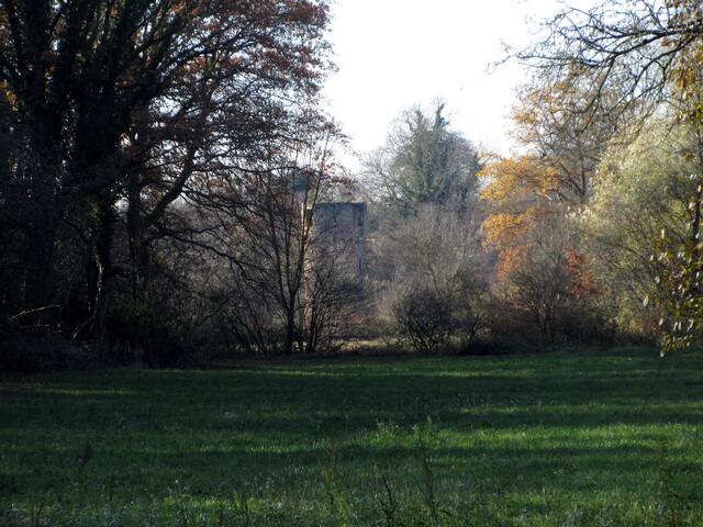 Über dieses kühle Wiesental erreichten wir den Eckturm des Stift Odenheim. Unterwegs konnten wir ein paar Schlehen zupfen.