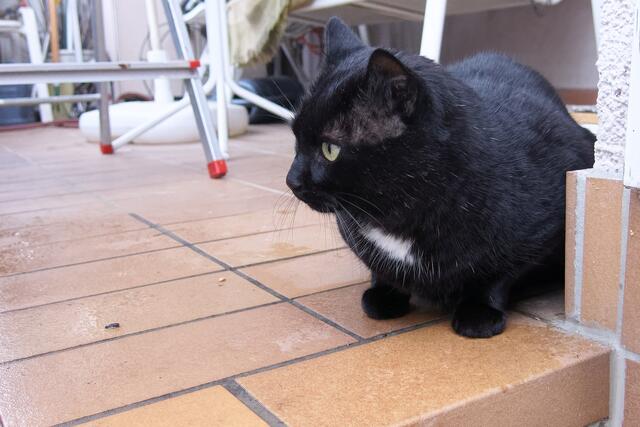 was ist denn heute los?