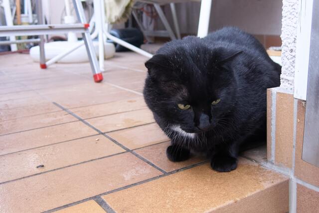 soll ich da wirklich runter?