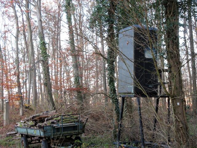 Ein seltsamer Jägerstand, aus einer alten Telefonzelle gebaut, zog die Aufmerksamkeit der Wanderer an.