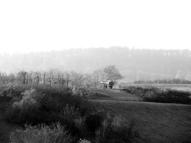Still-Leben
