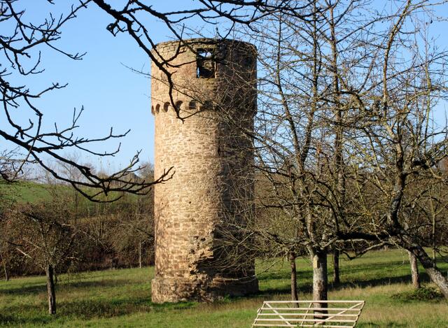 Stift Odenheim, der Turm mitten in der Obstwiese.