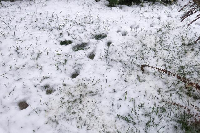 vielleicht ist es nebenan nicht so kalt und nass