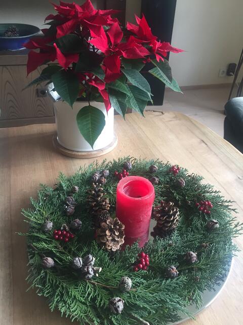 Advent