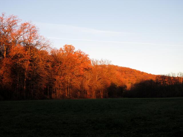 Das Rohrtäle "brennt" in der abendlichen Herbstsonne.