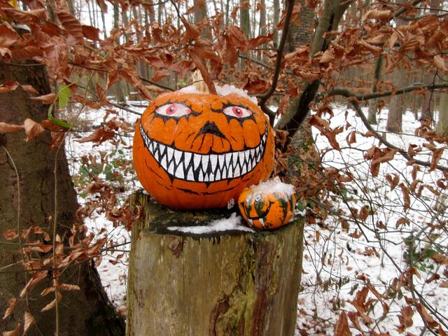 Im Heilbronner Wald ist am 03. Dezember dagegen noch Halloween... Lost Kürbis