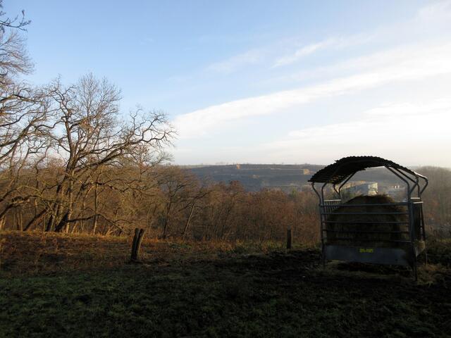 Auf dem Weg zur Öttinger Mühle oberhalb am Gehege vorbei. Gegenüber der Steinbruch
