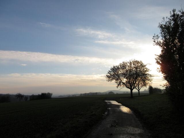 Morgens halb Zehn in Deutschland...