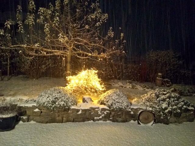 Schneenachtlicht