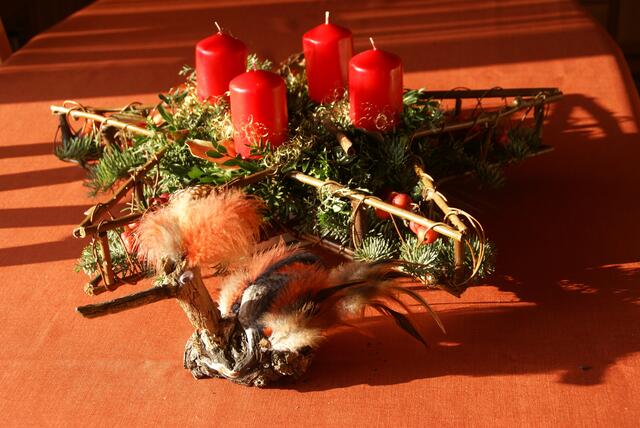 Kein Kranz, sondern ein Stern als Adventsgesteck schmückt das Zuhause von Heimatreporterin Ursula Wulle aus Schwaigern. | Foto: Ursula Wulle