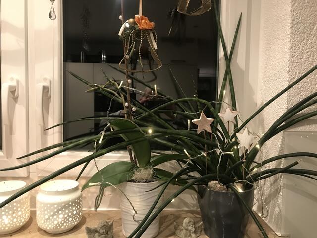 Weihnachtlicher Glanz