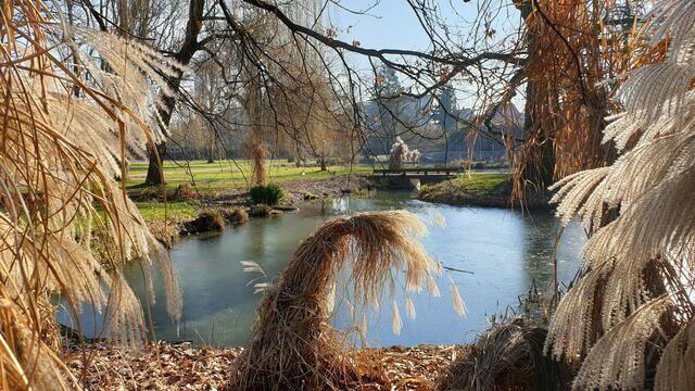 Bild des Monats Februar (Hohenlohe) von Heimatreporter Heinrich Brehm: Winter-Sonne im Hofgarten Öhringen. | Foto: Heinrich Brehm