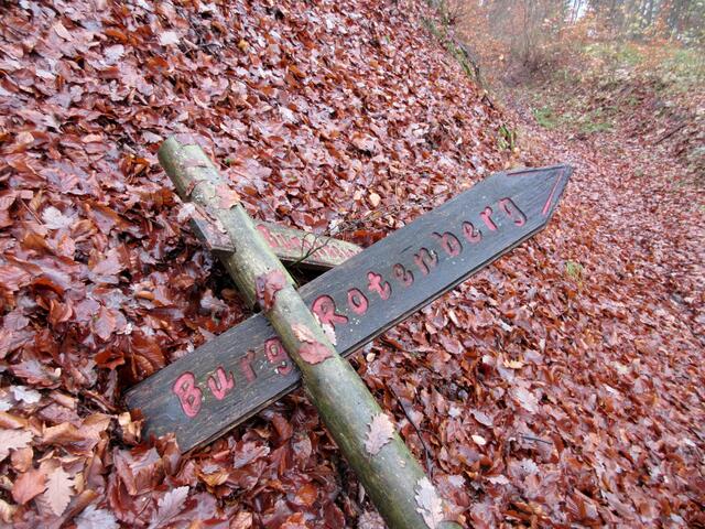 Hier noch die umgefallenen Hinweisschilder. Sonst wären wir gar nicht auf die Idee gekommen, dass es sich bei dem Naturdenkmal um diesen Burgstall handeln könnte.