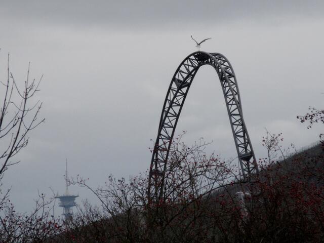 Adebar flog gerade heran und landete auf seinem Lieblingsplatz. Wenn wir uns recht erinnern, gibt es schon mal ein Bild davon bei meine.stimme.de. Im Hintergrund der Funkturm Brackenheim